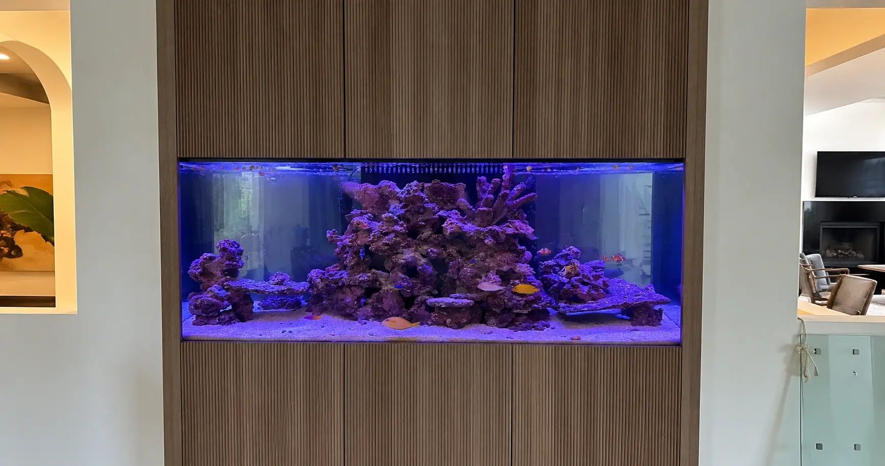 Aquarium Installation